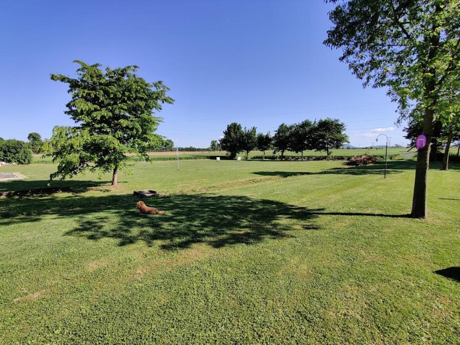Agriturismo La Sophora Montegaldella Bagian luar foto